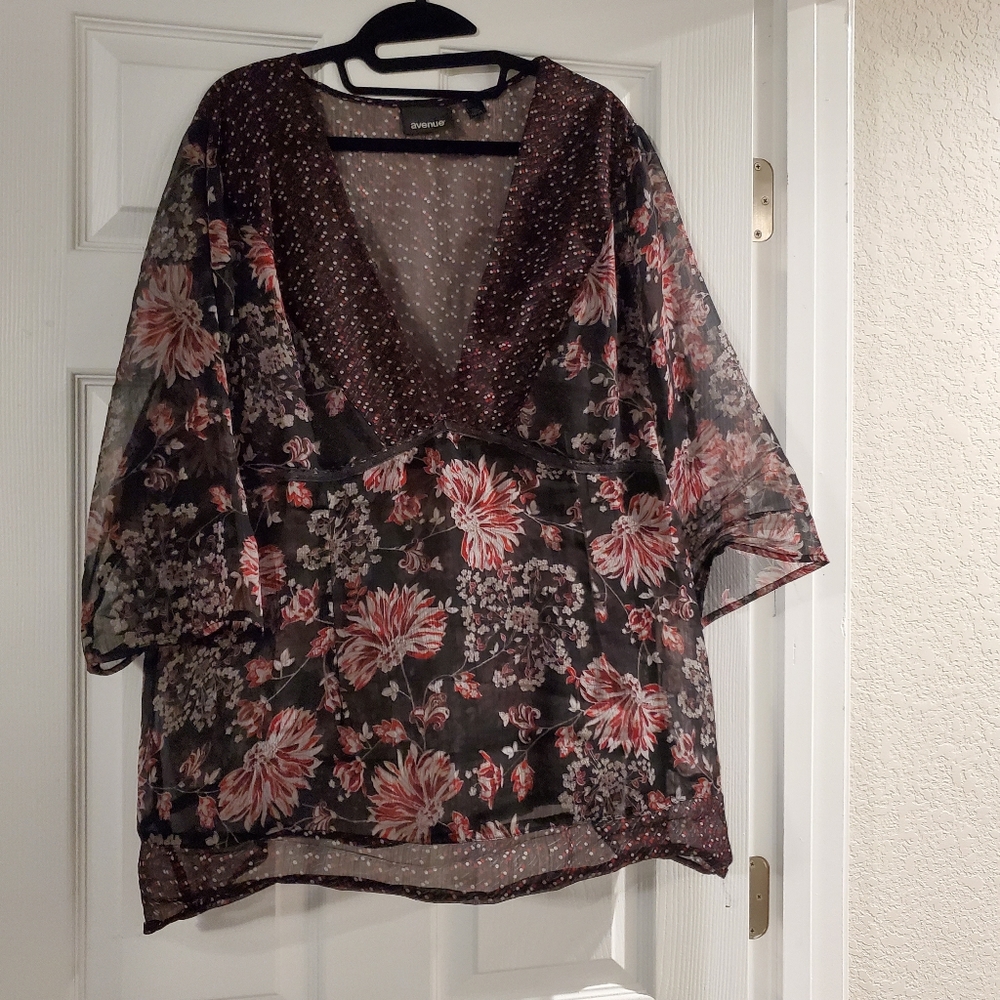 Sheer Blouse - image 1